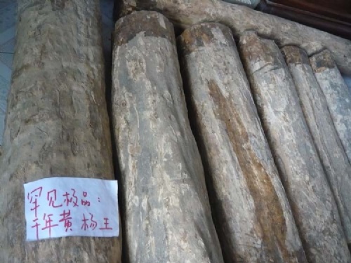 创意征稿(重酬):千年罕见黄杨木王雕刻创意设计征稿