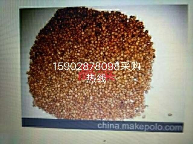 声誉酿酒厂采购高粱玉米、碎米、大米,小麦