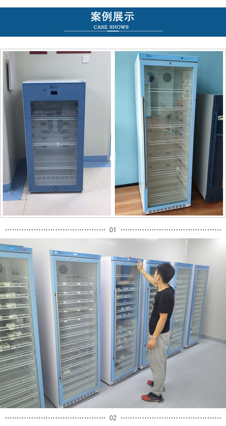 带锁4度实验室冰箱(低温防冻型)