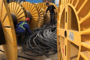 1644023923775.th 1644023923775.th