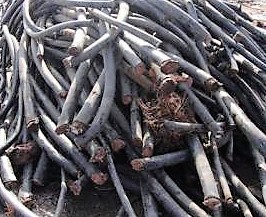 5996b5fa5e22e 5996b5fa5e22e