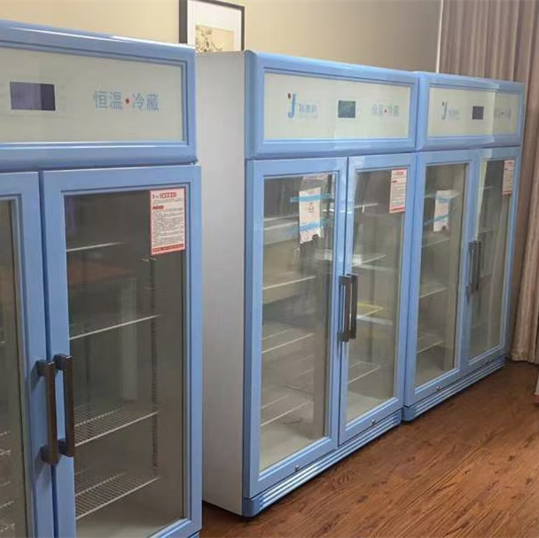 带锁4度实验室冰箱(低温防冻型)