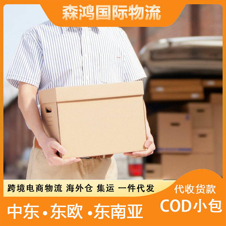 COD跨境一件代发 新加坡小包专线海外仓一件代发 运输