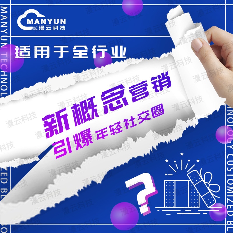 海外小程序开发