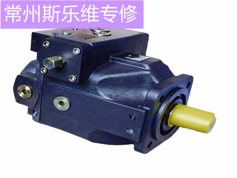 日本日立HITACHI恒量柱塞泵维修