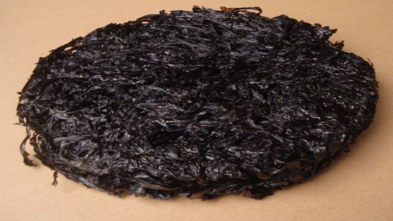 干海带检测周期多久?-华谨质检平台