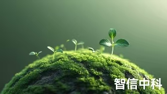 全球及中国AVI外观检测设备市场现状调查及投资风险分析报告2024-2030年