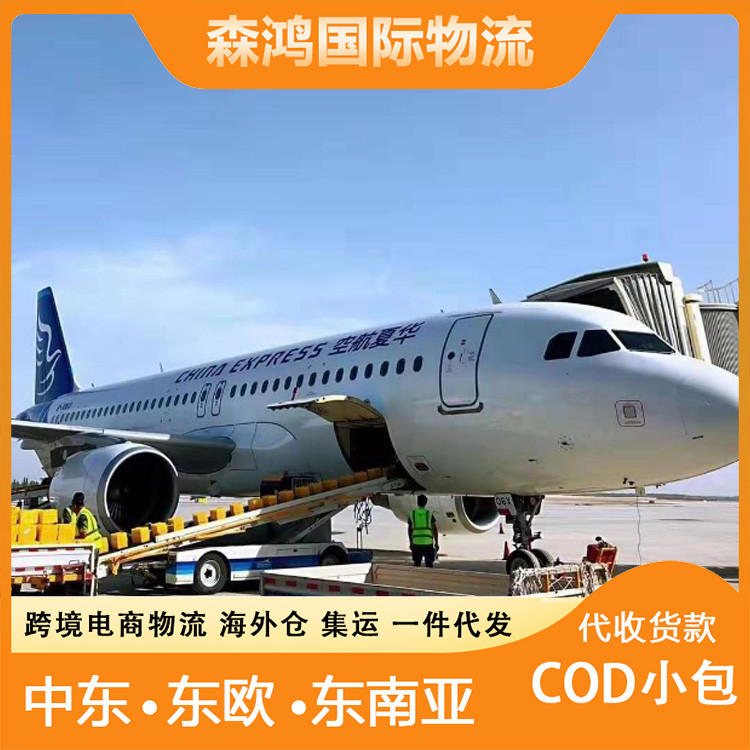 新加坡小包一件代发cod 斯洛文尼亚小包电商物流新加坡 快速完成报关