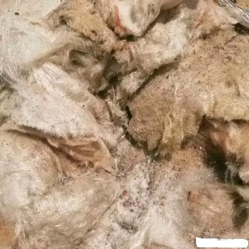 废旧风力发电扇叶玻璃钢岩棉保温棉废旧化纤废布头布条处置处理清运中心