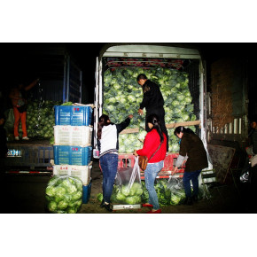 六盘水市钟山开发区蔬菜水果批发市场深夜批发蔬菜现场