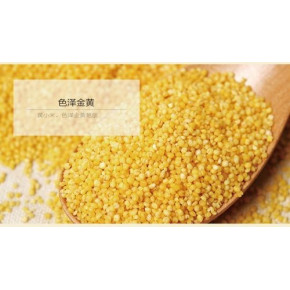 小马快跑米脂小米加工厂产品质量如何？