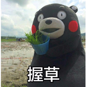 泰国普吉岛海滩闯入一只鳄鱼 至今仍没被抓住