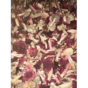 大红菌的生长习惯及营养