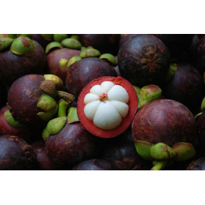 抖音店如何开设水果品类？冻榴莲山竹怎么报白？香蕉葡萄怎么上架？