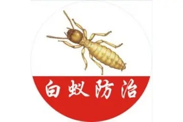 临安白蚂蚁防控中心  定点白蚁站电话