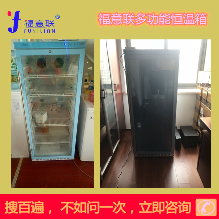 热敷包型号FYL-YS-431L恒温加热箱（风循环）