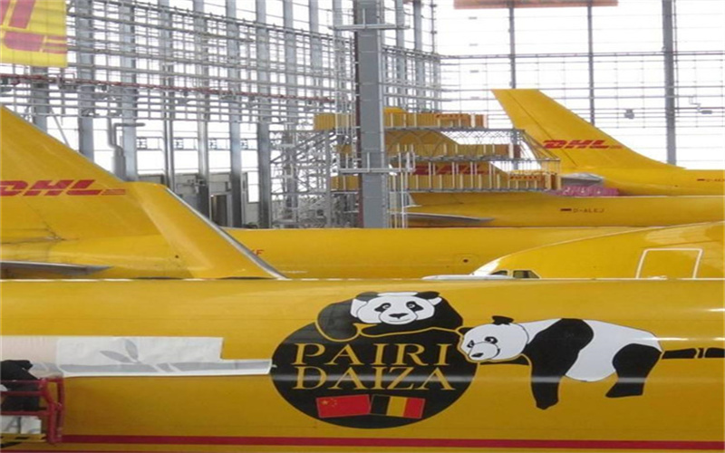 宜宾DHL快递 宜宾DHL快递公司投递 宜宾DHL您身边的供应商