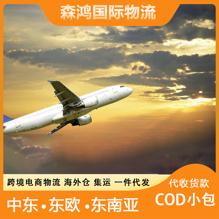 巴林cod海外仓一件代发 小包跨境一件代发一件代发巴林 代收包清包派