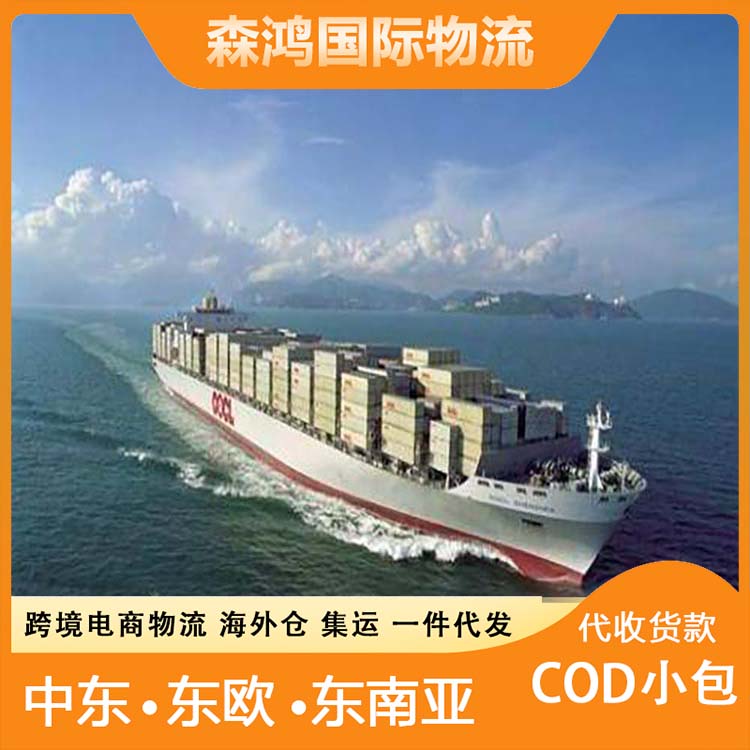 巴林COD小包一件代发 东欧小包电商小包跨境电商巴林 数字化管理