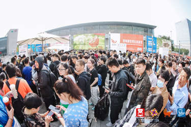 2024年上海玩具展 立即报名参会
