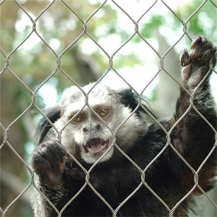 彩钢瓦屋面采光带安全防护网隐形高空防坠网安装