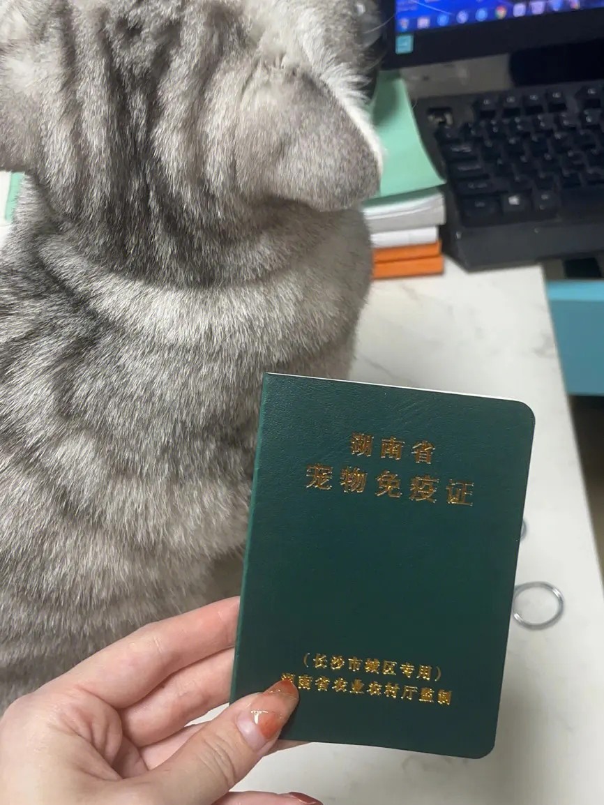仙居到恩施的长途客车联系电话班次及查看