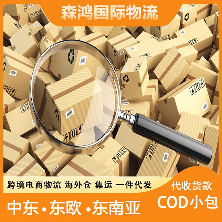 中东海外仓一件代发COD 东南亚小包一件代发海外仓海外仓一件代发中东 一单到底